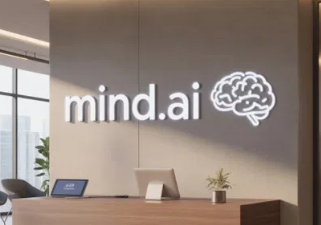 minda aii